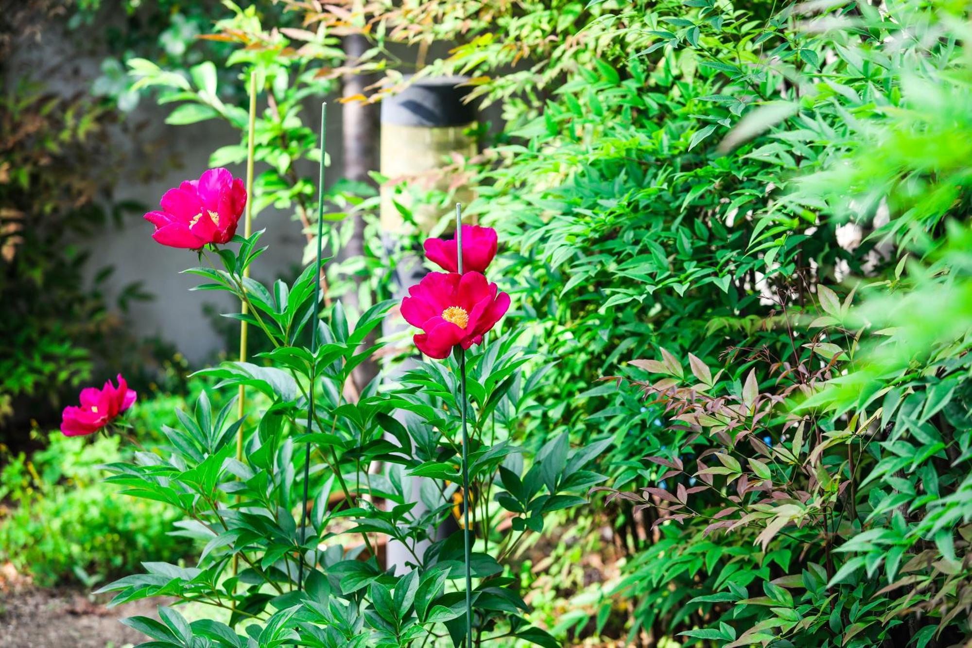 Haengok Guesthouse Jeonju Zewnętrze zdjęcie